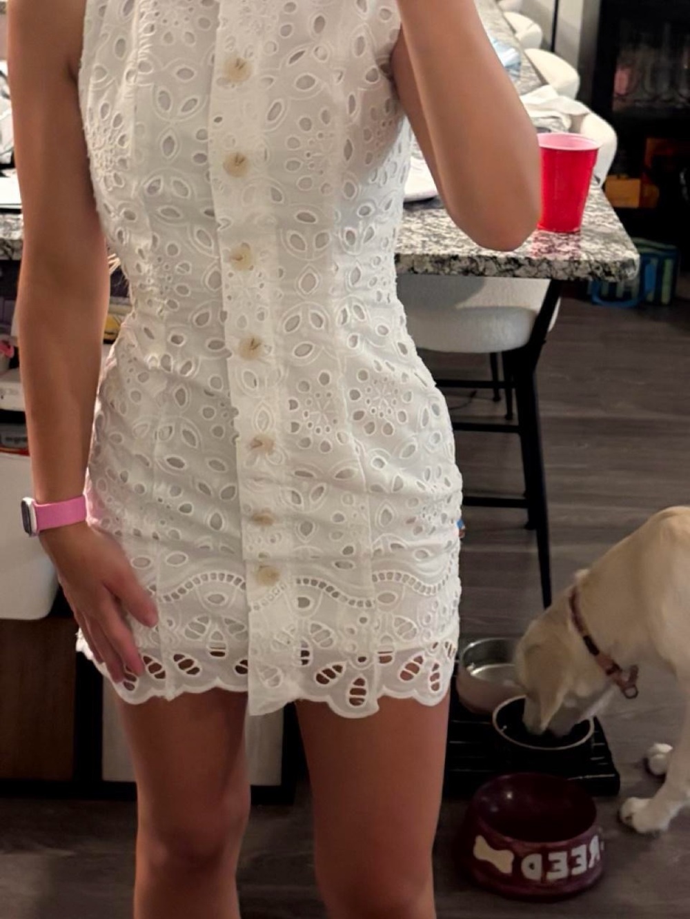 Altar'd State White Eyelet Button-Front Mini Dress